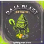 Baja Blast strain